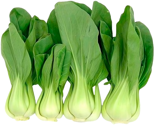 Китайская Капуста Бэби Бок Чой, Шанхайская Капуста - Pak Choi Cabbage Seeds (600x600), Png Download