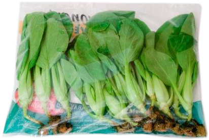 Bok Choy (448x300), Png Download