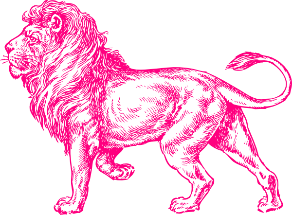 Pink Lion Clip Art - Full Body Lion Sketch (600x442), Png Download