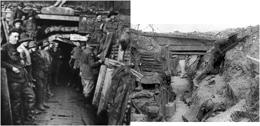 Picture - Battle Of The Somme Douglas Haig (518x252), Png Download