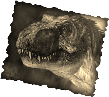 Today I Will Be Teaching You About A Tyrannosaurus - Tyrannosaurus (371x329), Png Download