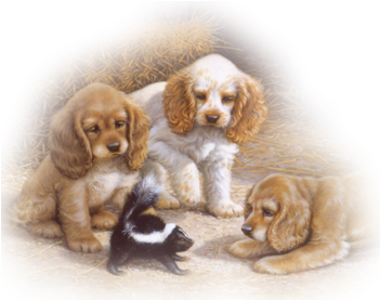 Cocker Pups Trio Wskunk - Rihe Diy Oil Painting By Numbers -dog Ite Christmas (400x350), Png Download