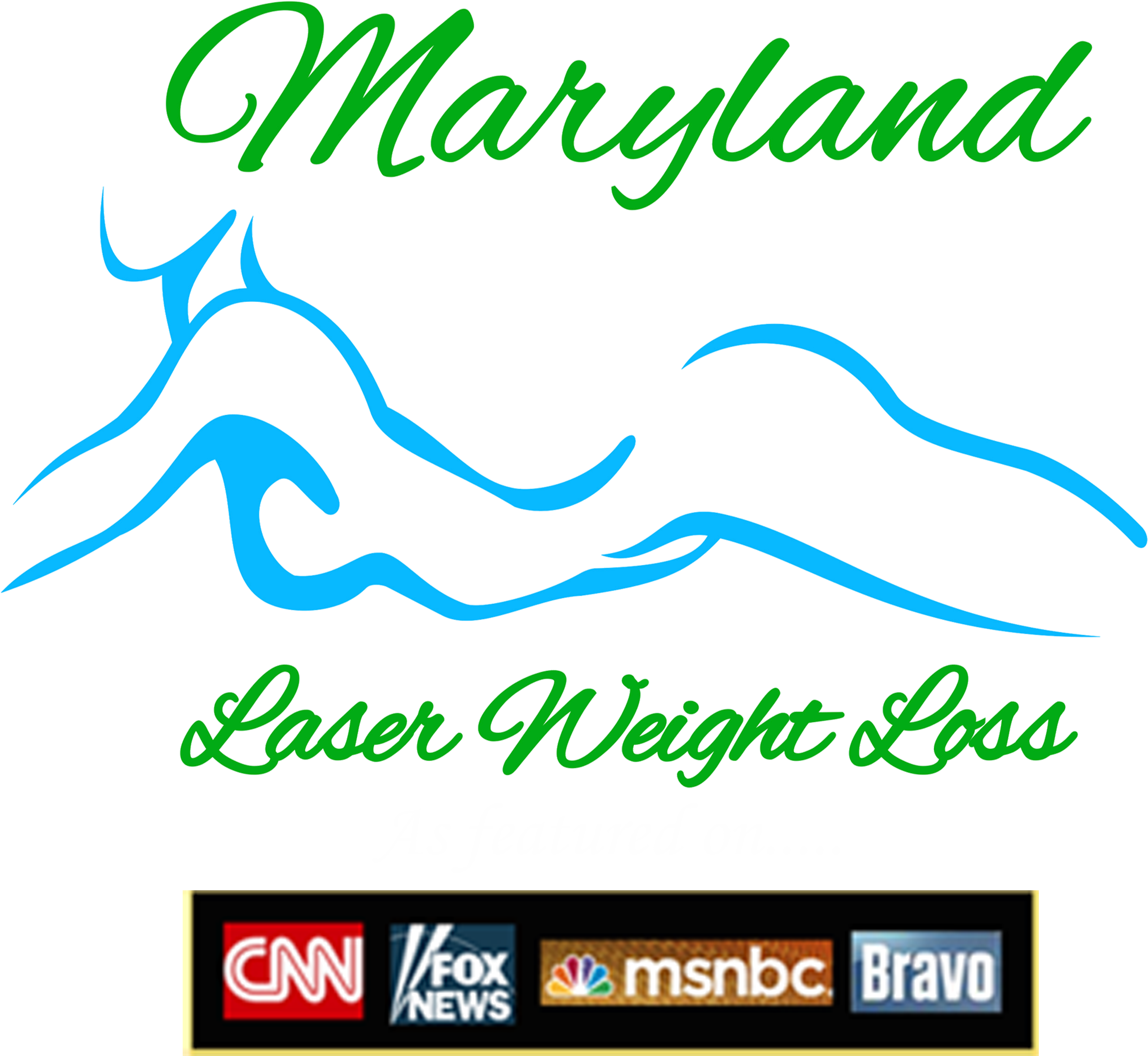 Maryland Laser Weight Loss Logo - Logo Weight Loss Free (3507x2480), Png Download