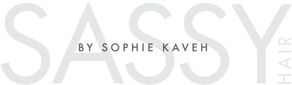 Sassy Png (1000x311), Png Download