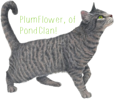 Grey-cat - Transparent Grey Cat (400x348), Png Download