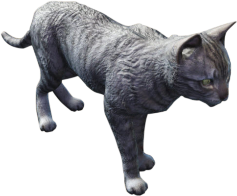 Cat - Fallout Cat (607x469), Png Download