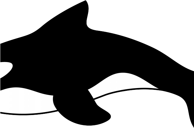 Cartoon Whale - Whale Clip Art (640x480), Png Download