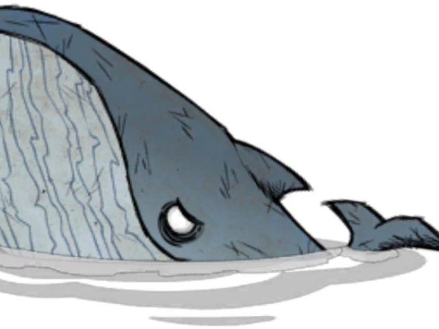 Cartoon Whale Png - Blue Whale (640x480), Png Download