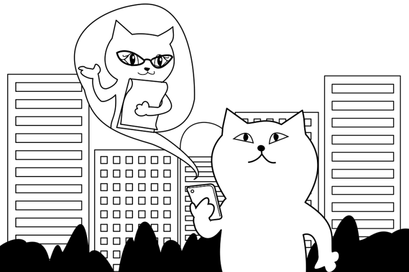 10 Cats Who Took The Internet By Storm - Secretary (800x533), Png Download