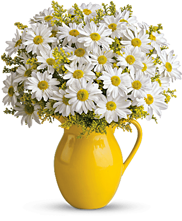 More Views (368x460), Png Download