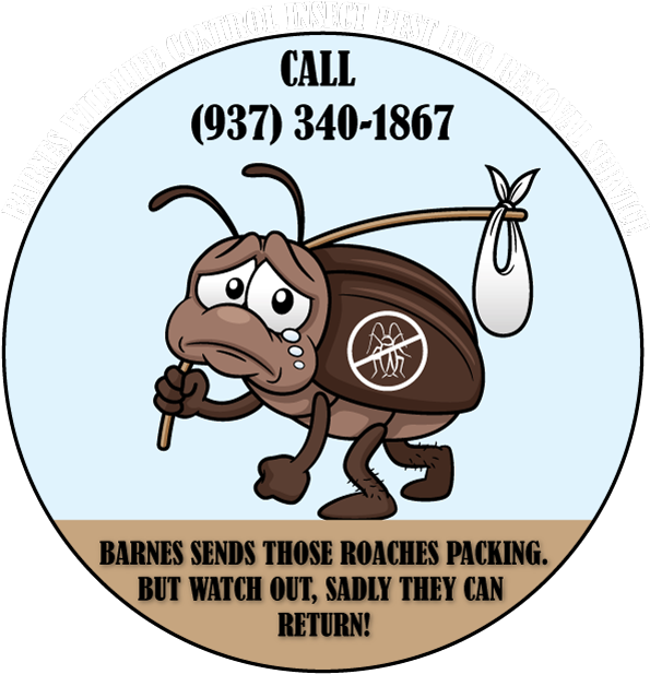 So - Cockroach (705x705), Png Download