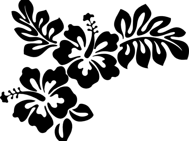 Hawaiian Flower Vector - Hibiscus Clip Art (640x480), Png Download