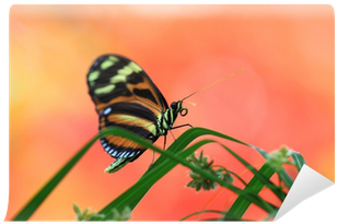 Painting (400x400), Png Download