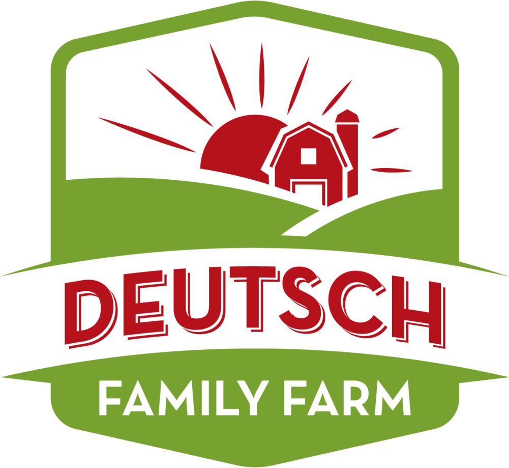 Png 1807 Dff Logo Design Final Png - Deutsch, Klasse 9/10 (1000x945), Png Download