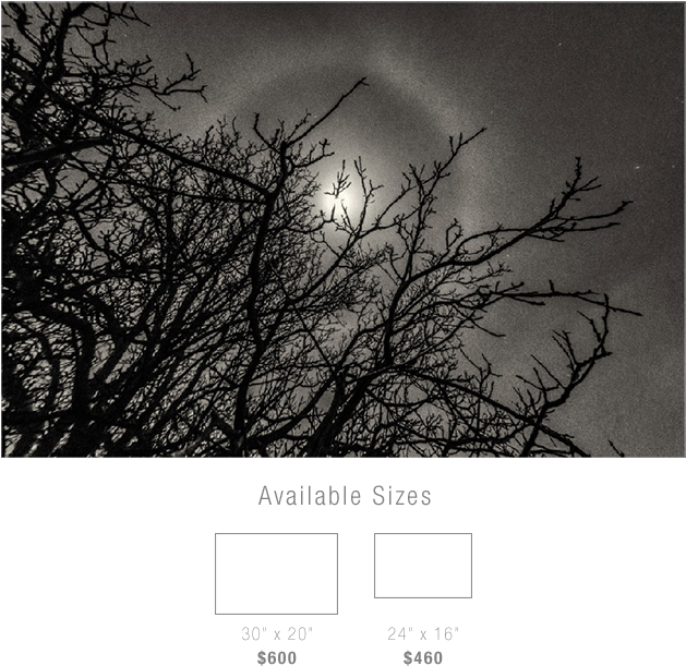 Back - Moon (628x628), Png Download