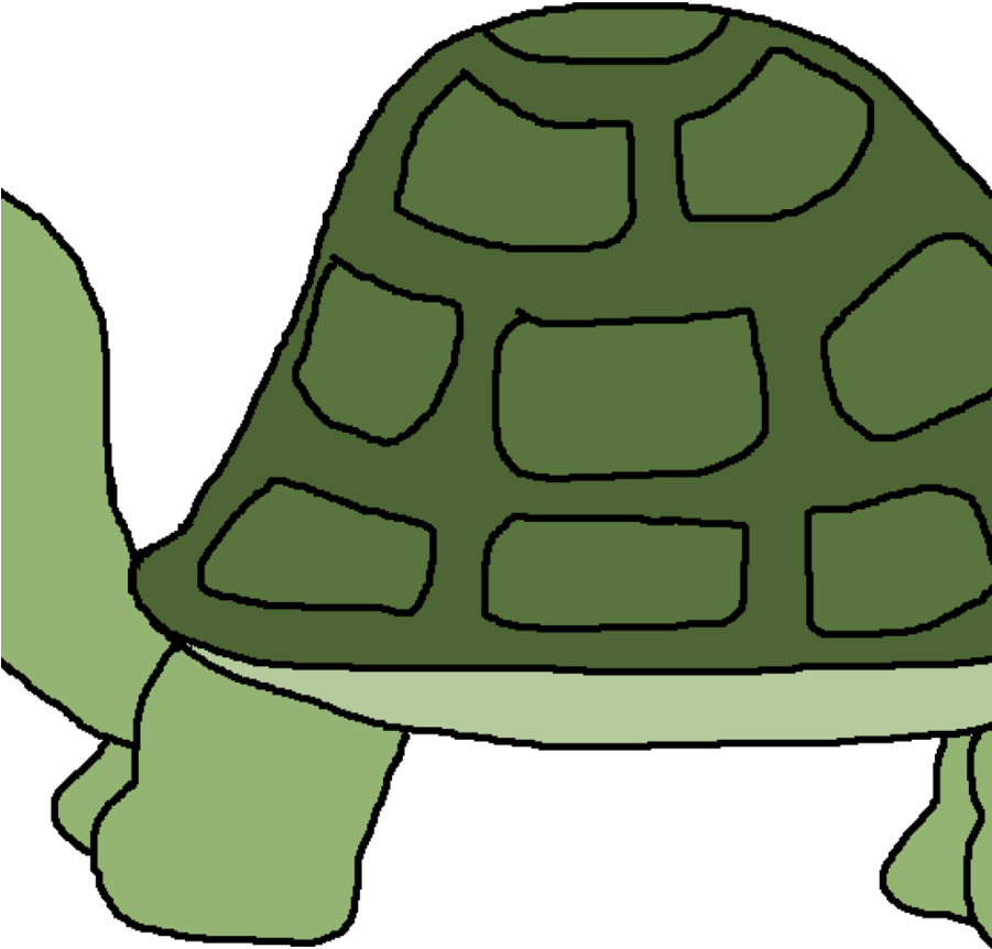 Turtles Clipart Hd Png (900x900), Png Download