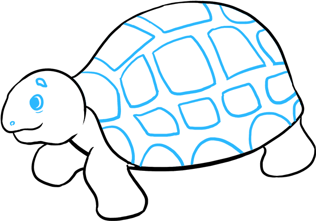 How To Draw Sea Turtle - Sea Turtle (680x678), Png Download