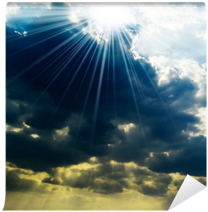 Burn-out - Mieke Lannoey (paperback) (400x400), Png Download