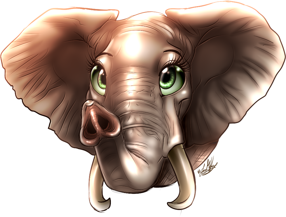 Beautiful Eyes, How Time Flies~ - Indian Elephant (1069x876), Png Download