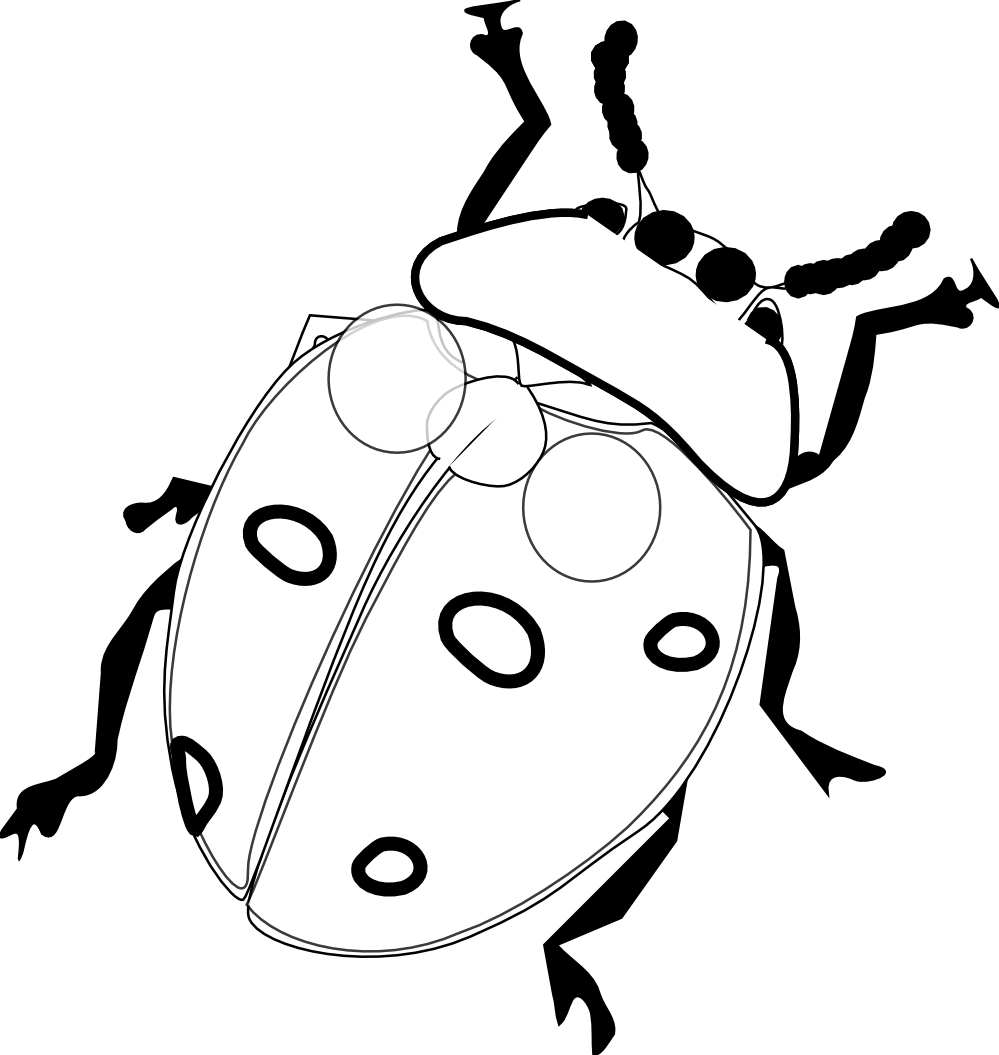 Ladybug 7 Black White Line Art Flower Drawing Scalable - Realistic Ladybug Coloring Page (555x586), Png Download