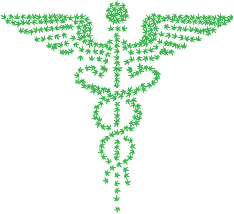 Caduceus, Marijuana, Medical, Drugs, Medicine, Pharmacy - Staff Of Hermes (768x720), Png Download
