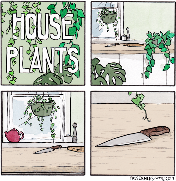 House Plants False Knees (600x610), Png Download