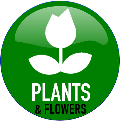 Cgc Plants Button 2 - Dirty Sarcastic Quotes (387x389), Png Download