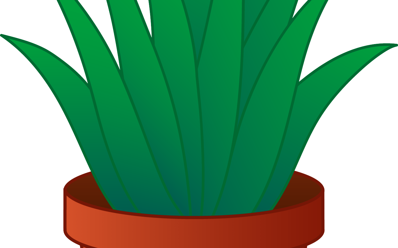 31 Great Indoor Potted Plant - Aloe Vera Plant Clipart (1368x855), Png Download