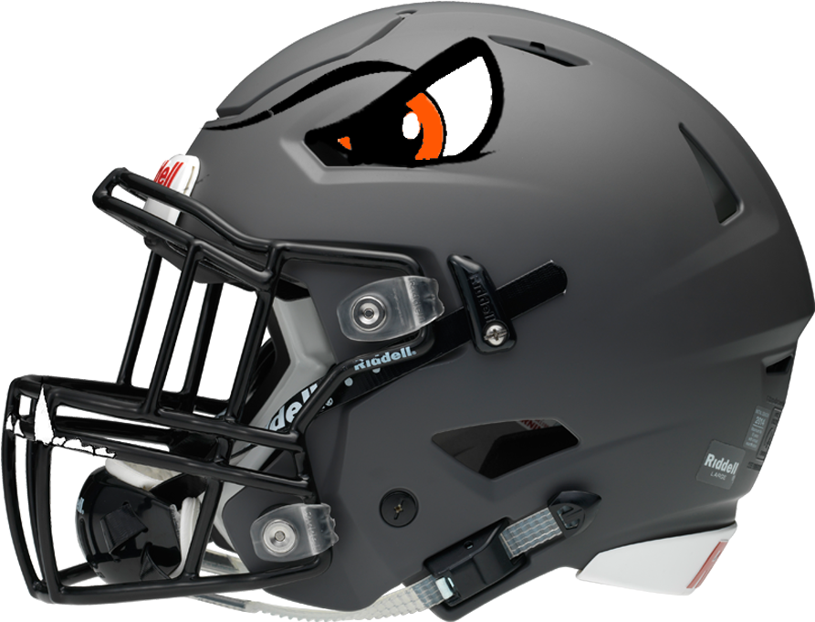 These Are The Bulldog Helmets - Ohio State Football Speedflex Helmet (1000x903), Png Download