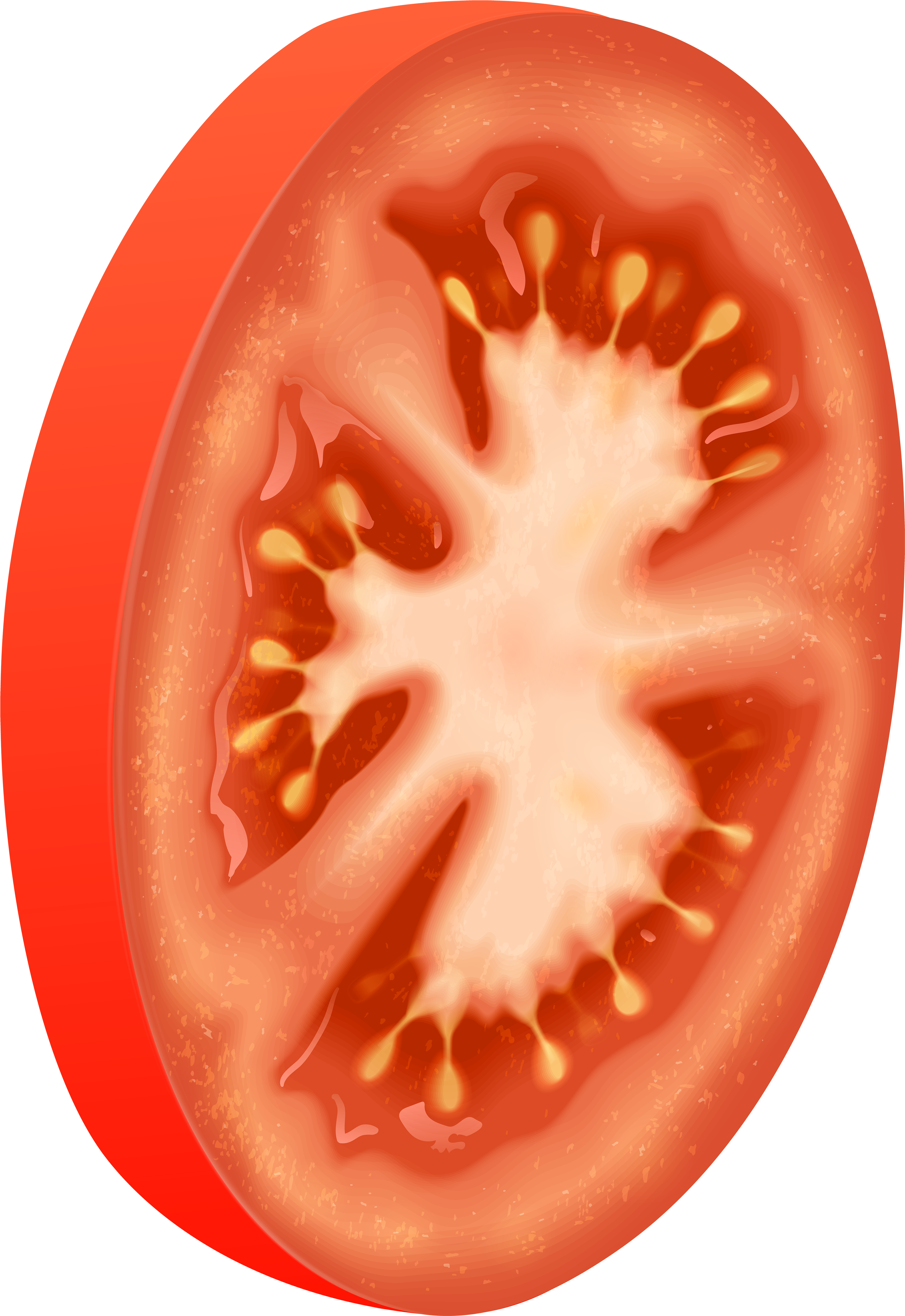 Plum Tomato (4246x6000), Png Download