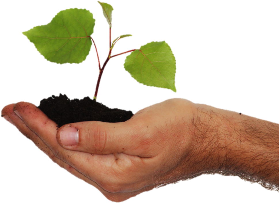 Refers To Any Donation That Is Part Of A Financial, - Dons Planifiés (1024x807), Png Download