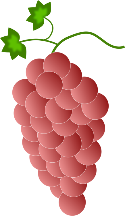 White Wine Red Wine Isabella Grape - Grapes Color (435x749), Png Download