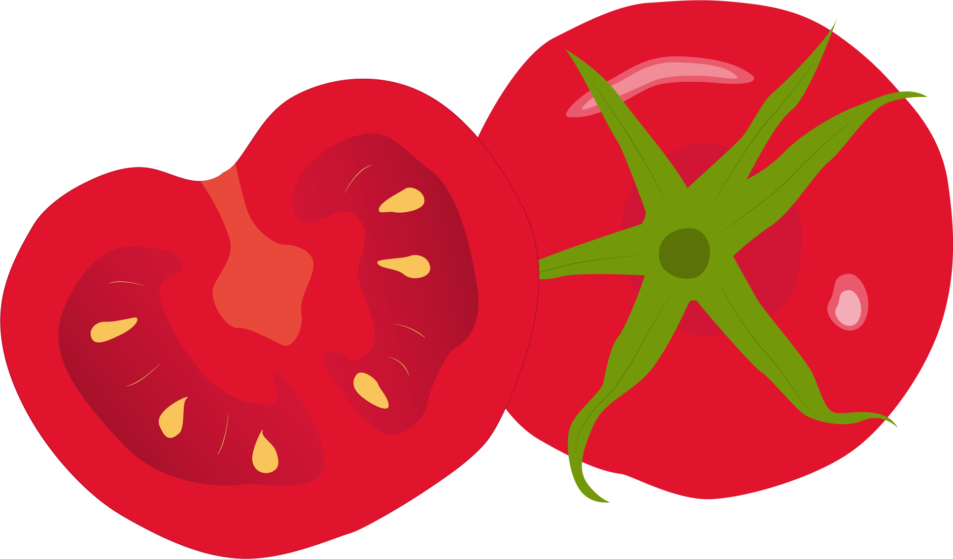 Buy Fresh Tomato Product On Alibaba - Tomato Clipart Transparent (1878x1101), Png Download