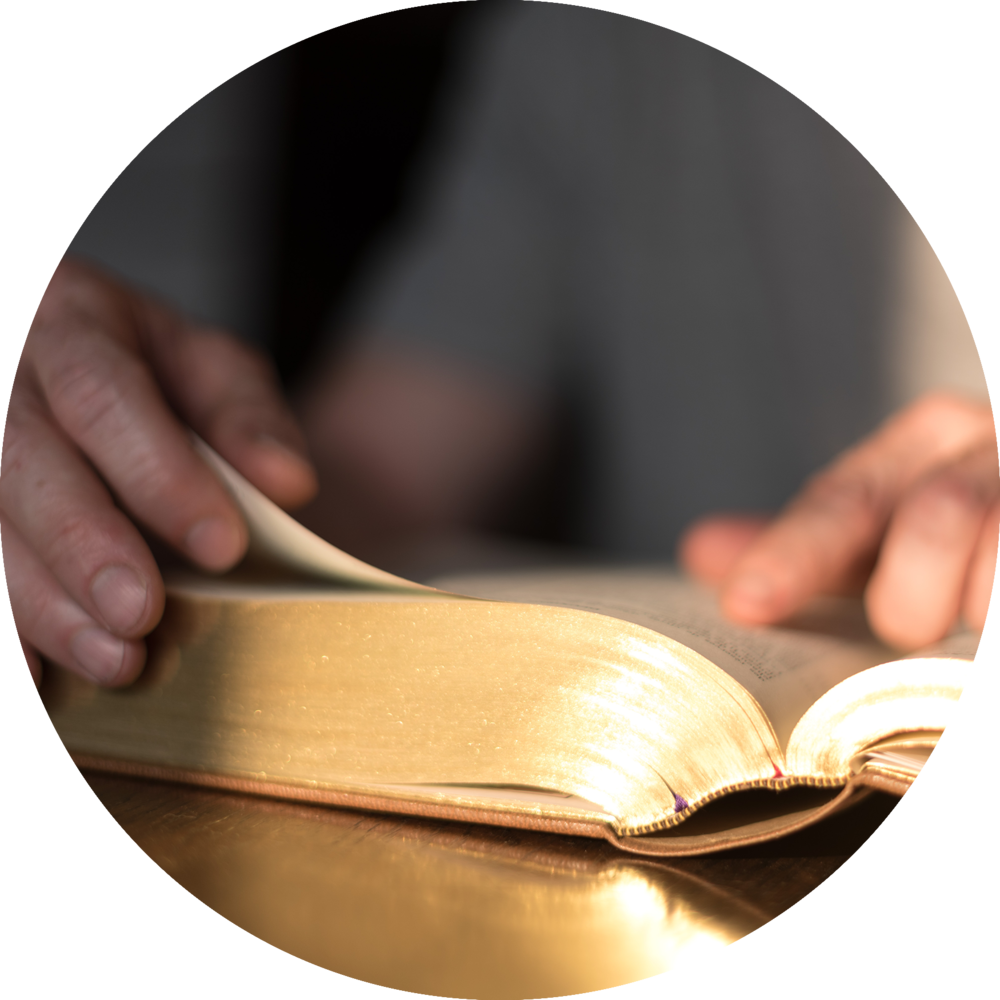 Bibmiss Logo Photo Circle Green - Bible (1000x1000), Png Download