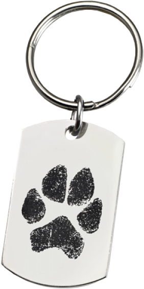 Wholesale Pet Print Key Ring - Dog Actual Dog Paw Print (500x500), Png Download