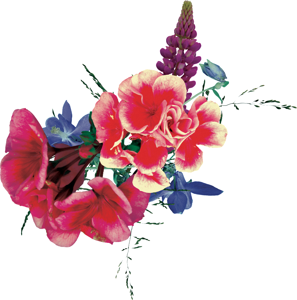 Hand Painted Colorful Flower Cluster Png Transparent - Portable Network Graphics (1024x1035), Png Download