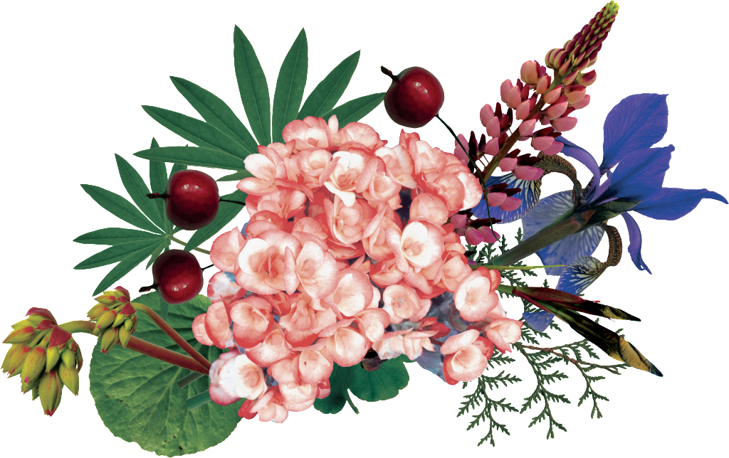 Hand-painted Colorful Flower Png Transparent - Portable Network Graphics (1024x644), Png Download