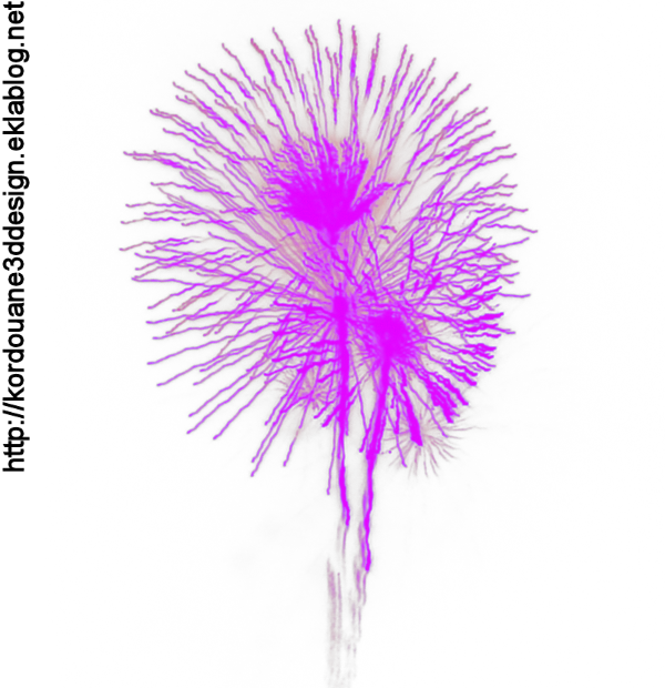 Feu D'artifice - Flower (600x620), Png Download
