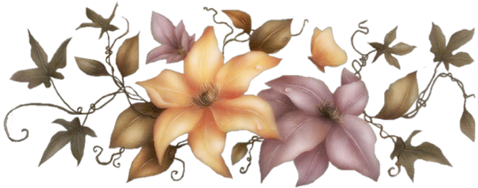 Beautiful Floral - Beautiful Orchid Flower Png (540x225), Png Download