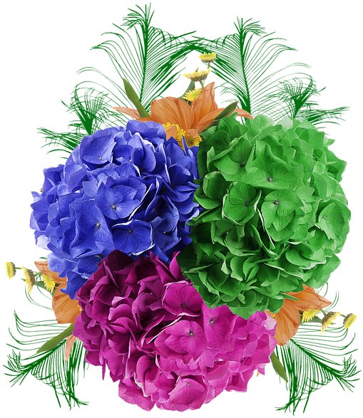 Flower, Clove, Green, Purple, Petals, Beautiful Flower - Flower (720x720), Png Download