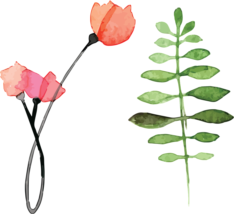 Hd Beautiful Flower Floral - Flower (1024x1024), Png Download