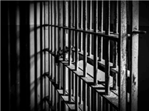 Prison Cell Bars - Beyond The Bars [book] (500x500), Png Download