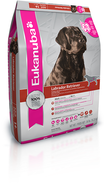 Eukanuba® Labrador Retriever Nutrition Dog Food - Eukanuba Breed Specific Adult Labrador Retriever Dog (367x633), Png Download