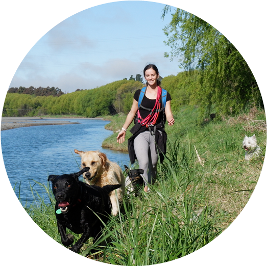 42629478 459702587853465 6955811707532869632 N - Portable Network Graphics (600x600), Png Download