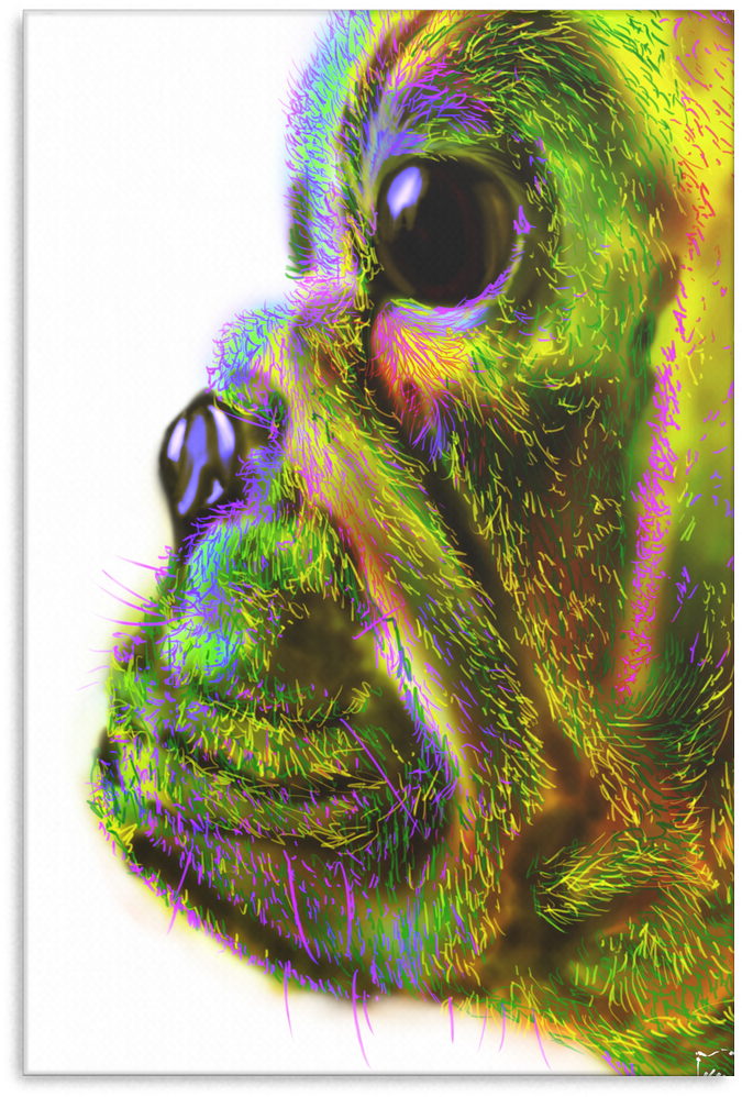 Bulldog Face New Canvas P14 - Visual Arts (1024x1024), Png Download