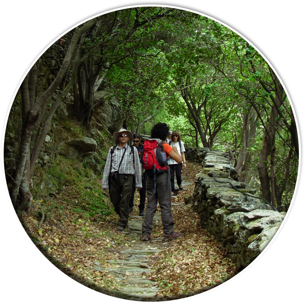 Hiking Tours - Backpacking (1030x1030), Png Download