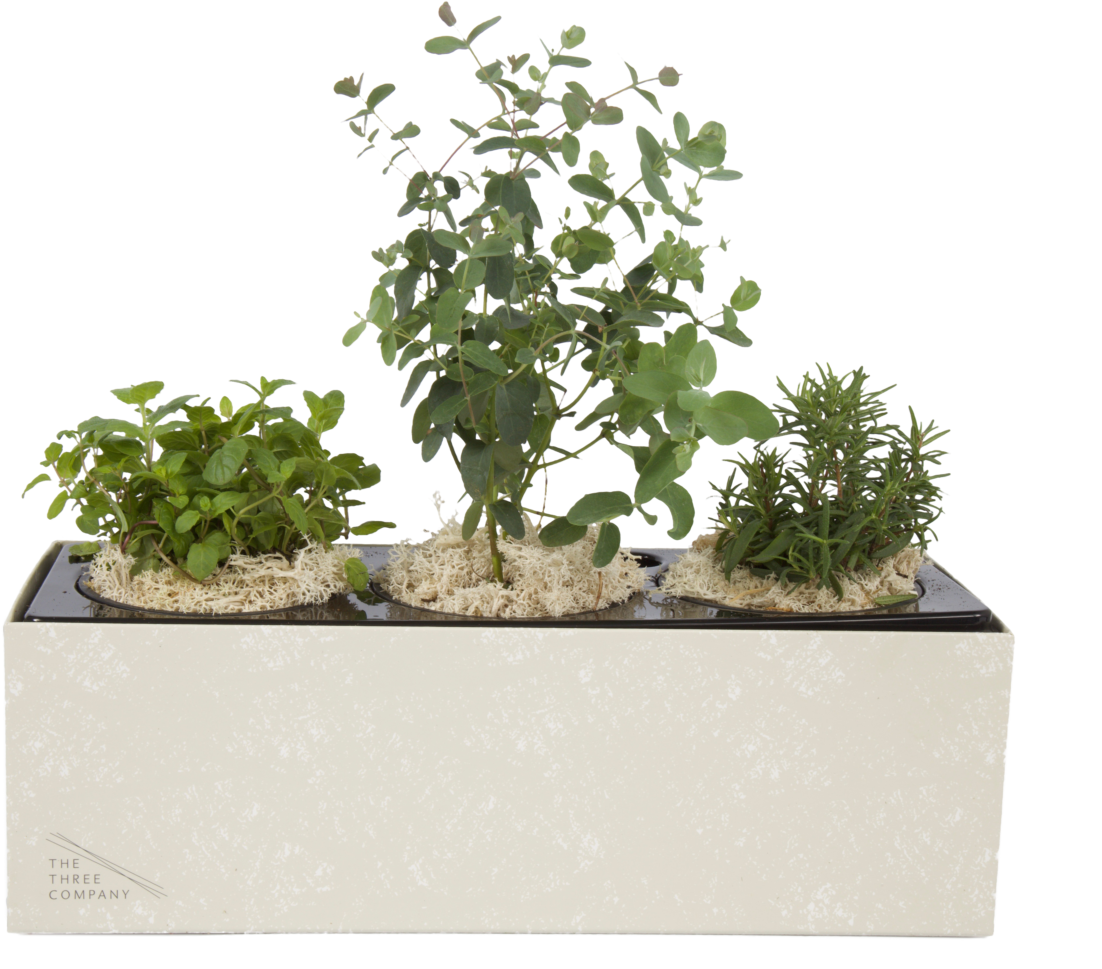 Breathe Blend - Herb (4135x3453), Png Download