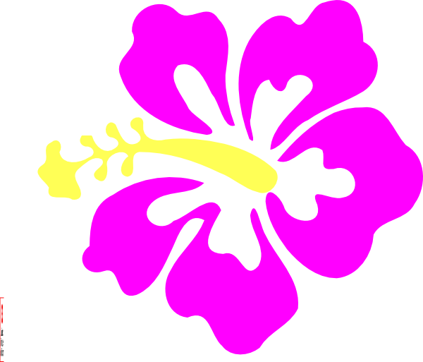 Hibiscus - Purple Hibiscus Clip Art (600x513), Png Download