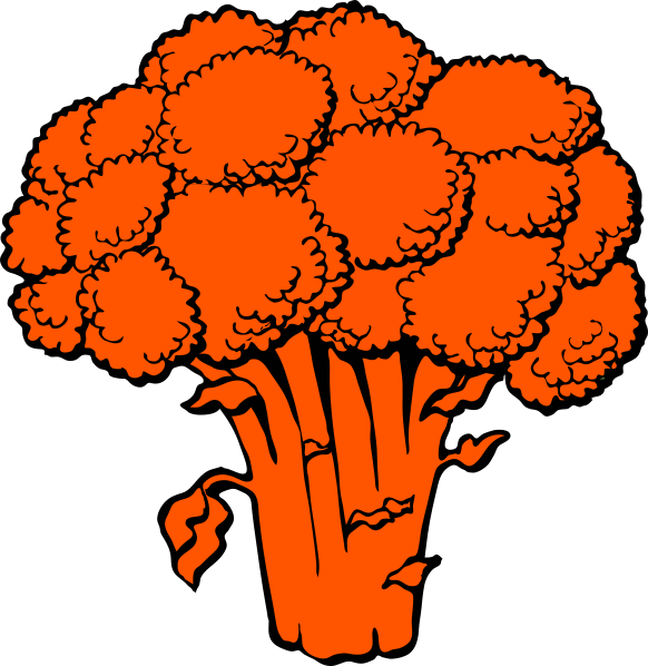 Small - Broccoli Clip Art (582x598), Png Download