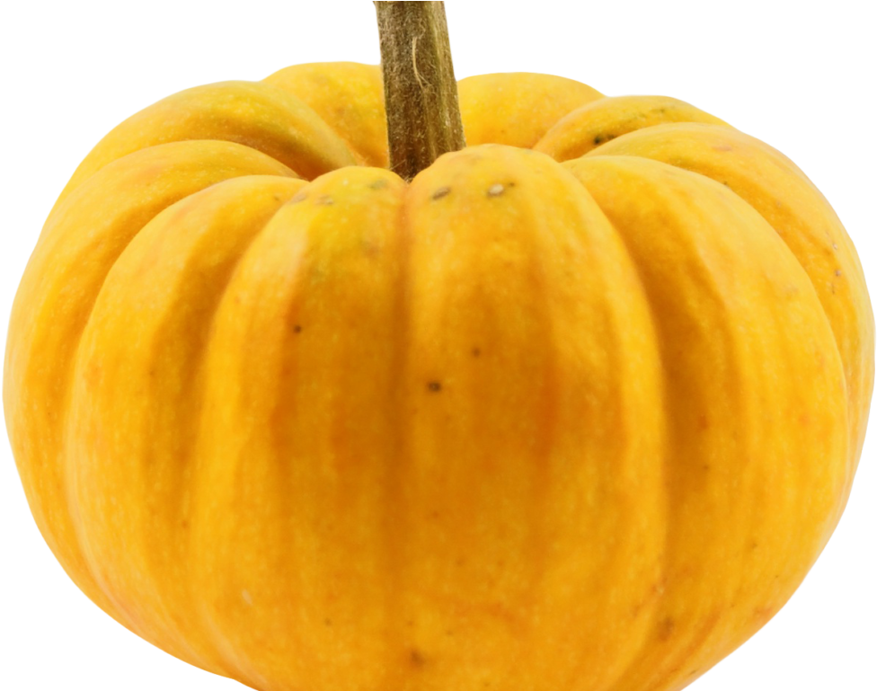 Pumpkin Png Image2 - Pumpkin (1024x768), Png Download